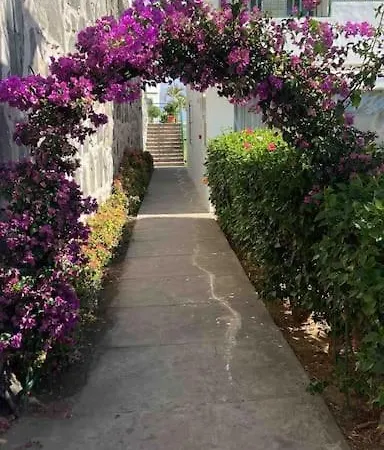 Vista Mar En Flamboyan - San Agustin Appartement San Bartolomé